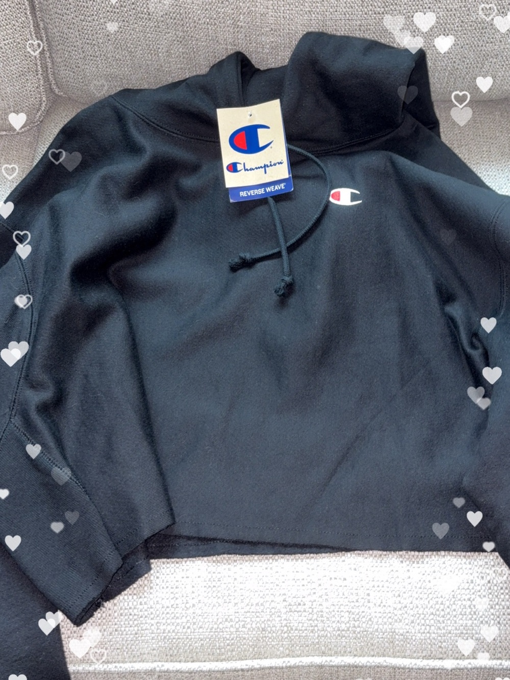 NWT Champions cropped hoodie